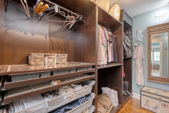 walk in closet featuring wood finished floors