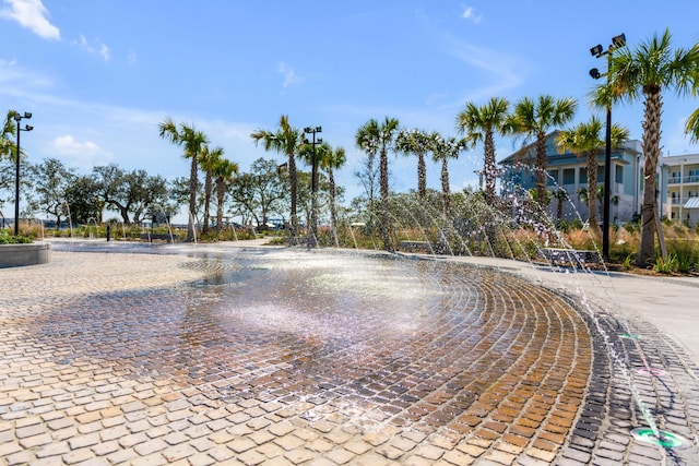 405 Spartina Ln Unit 405, Charleston, SC 29492 - view of community