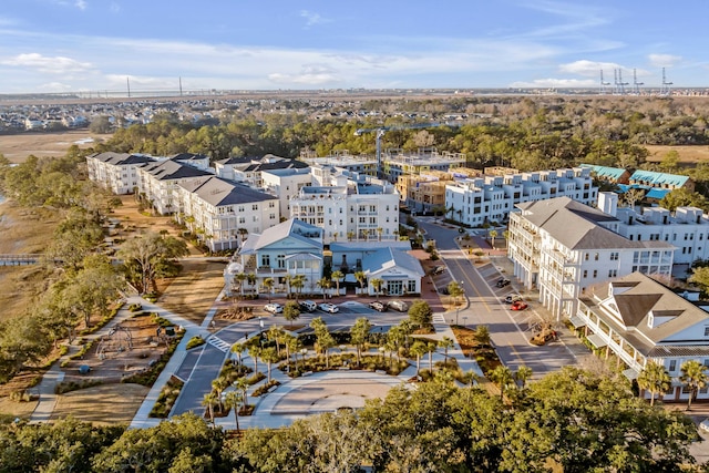 405 Spartina Ln Unit 405, Charleston, SC 29492 - bird's eye view of a tree filled landscape