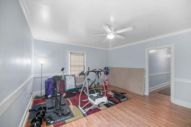 workout room with hardwood / wood-style floors, ornamental molding, and ceiling fan