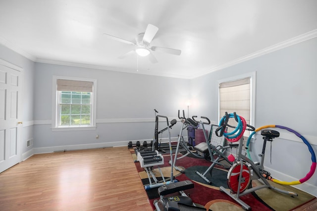 exercise area with crown molding, light hardwood / wood-style flooring, and ceiling fan