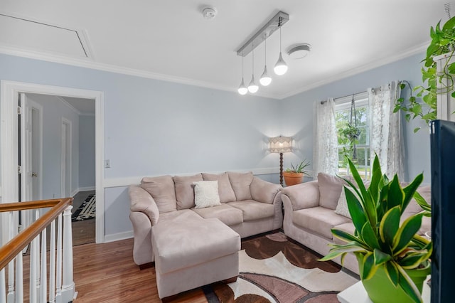 living room with hardwood / wood-style flooring and ornamental molding