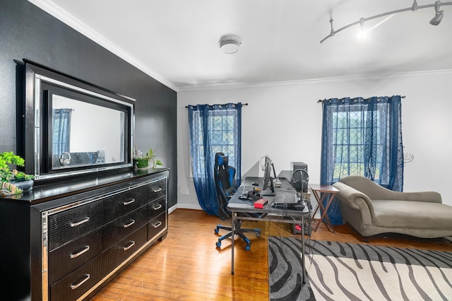 office featuring crown molding and light hardwood / wood-style flooring