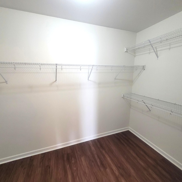 spacious closet with dark wood-type flooring