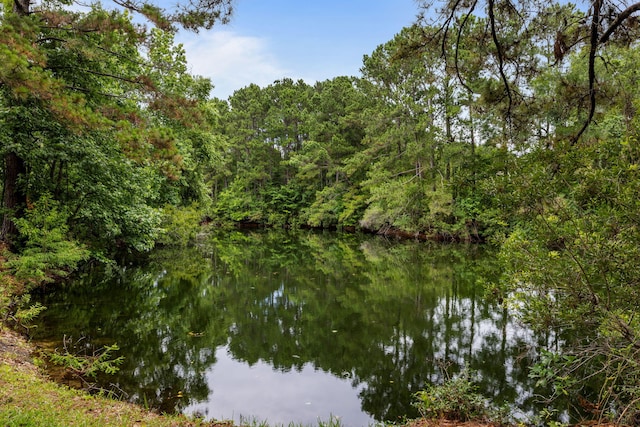 1478 Diamond Blvd, Mount Pleasant, SC 29466 - water view with a heavily wooded area