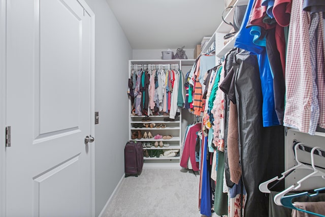 walk in closet with carpet