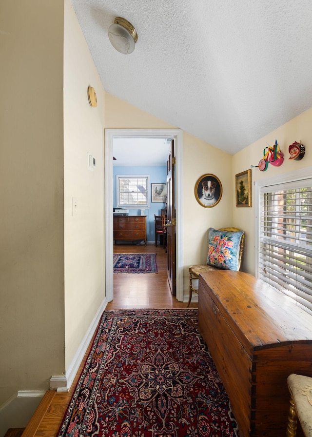 1067 Loyalist Ln, Mount Pleasant, SC 29464 - corridor featuring lofted ceiling, a textured ceiling, and wood finished floors