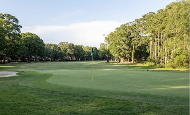 1067 Loyalist Ln, Mount Pleasant, SC 29464 - view of community featuring view of wooded area, view of golf course, and a lawn