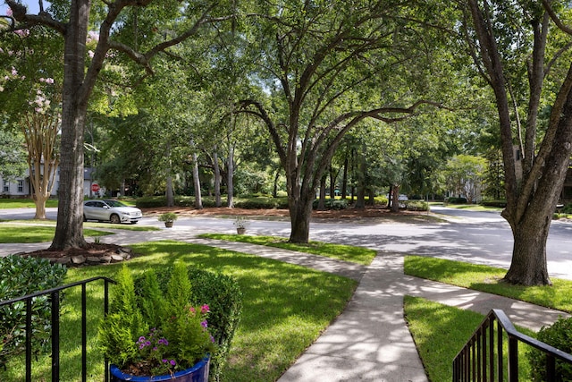 1067 Loyalist Ln, Mount Pleasant, SC 29464 - view of home's community featuring a lawn