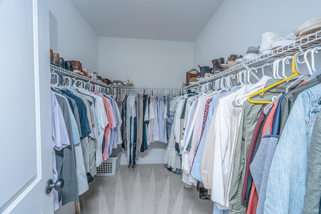 spacious closet featuring carpet floors