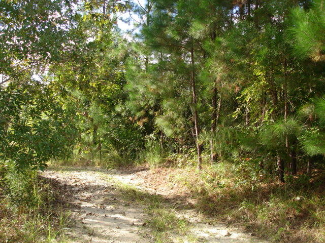 6 Parkers Ferry Rd, Adams Run SC, 29426 land for sale