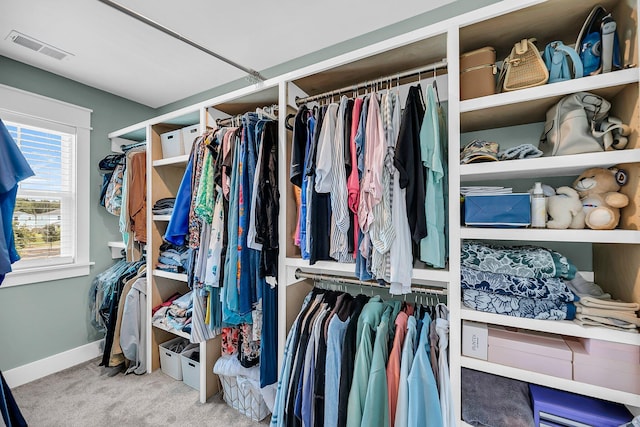 331 Saddlewood Dr, Charleston, SC 29414 - walk in closet featuring carpet flooring