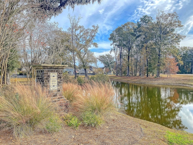 331 Saddlewood Dr, Charleston, SC 29414 - water view