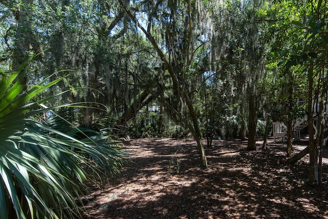 view of local wilderness