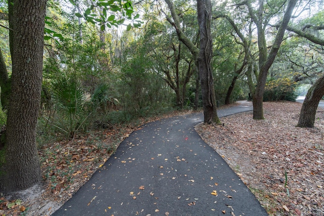 view of road with a forest view