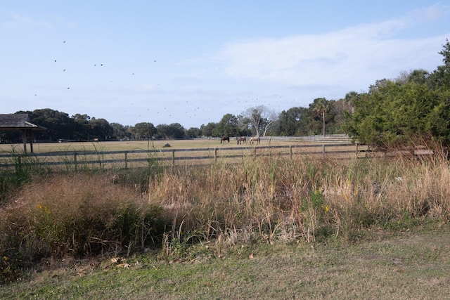 view of yard featuring a rural view