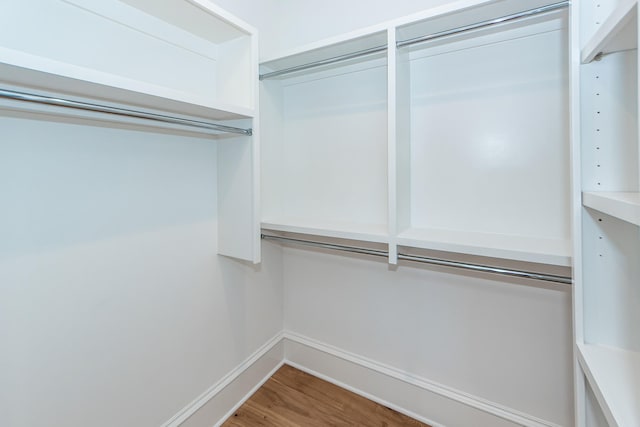 walk in closet with hardwood / wood-style flooring