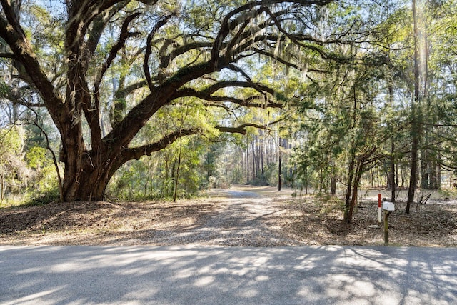 view of road with a forest view