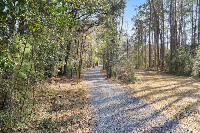 view of street featuring a wooded view