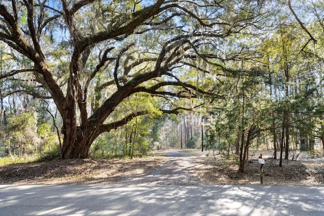 view of street with a forest view