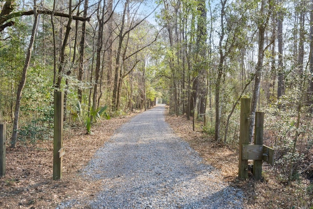 view of road with a wooded view