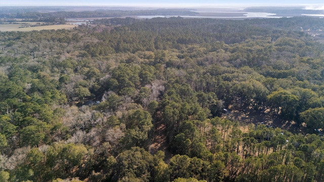 bird's eye view with a view of trees