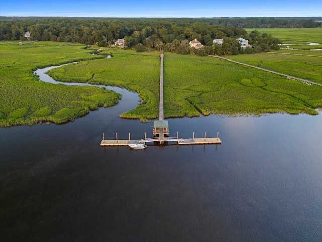 drone / aerial view with a water view and a forest view