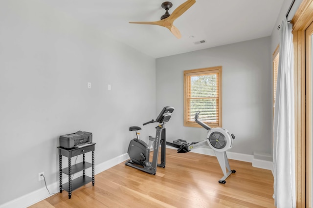 workout area featuring hardwood / wood-style flooring and ceiling fan