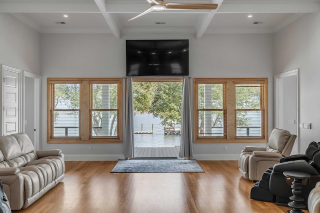 interior space with ceiling fan, plenty of natural light, and light wood-type flooring