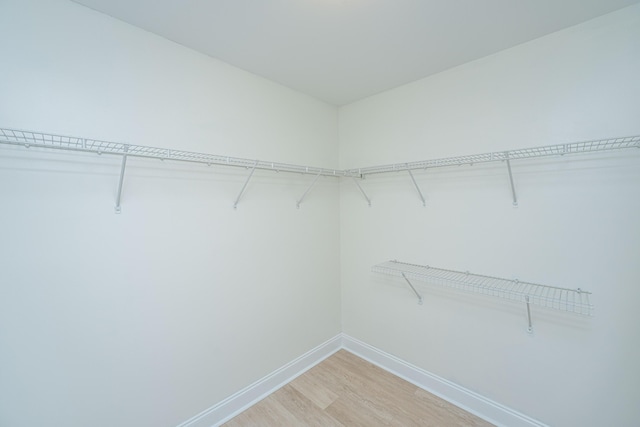spacious closet with light wood finished floors