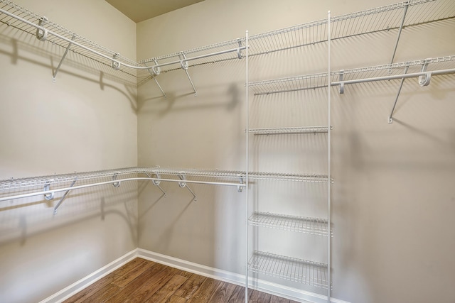 spacious closet with hardwood / wood-style floors