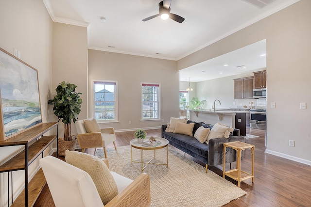 living room featuring ceiling fan with notable chandelier, light wood-type flooring, and crown molding