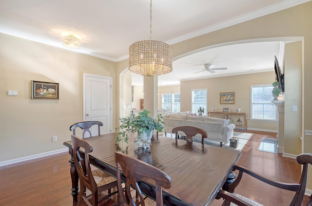 dining area featuring crown molding, ceiling fan with notable chandelier, and dark hardwood / wood-style floors