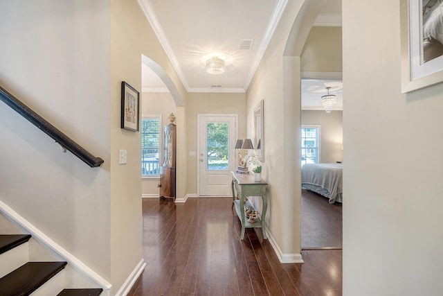 foyer featuring crown molding and dark hardwood / wood-style flooring