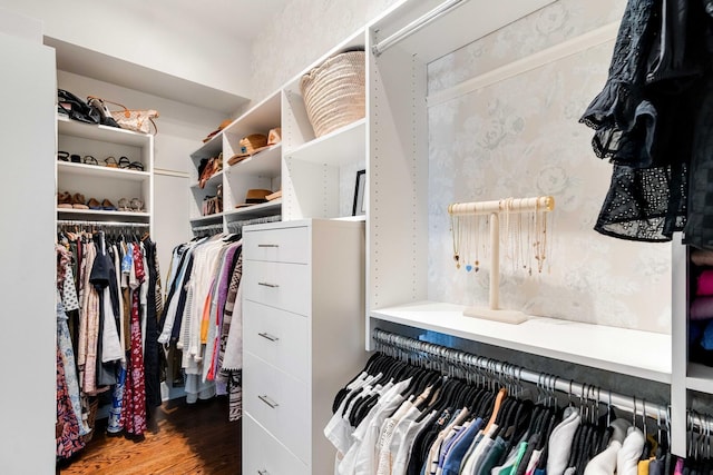 1527 Wando View St, Charleston, SC 29492 - walk in closet with wood finished floors