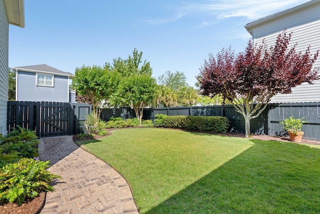 1527 Wando View St, Charleston, SC 29492 - view of yard featuring a gate