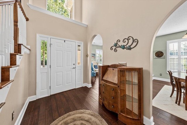 foyer with a healthy amount of sunlight, dark hardwood / wood-style flooring, and a towering ceiling