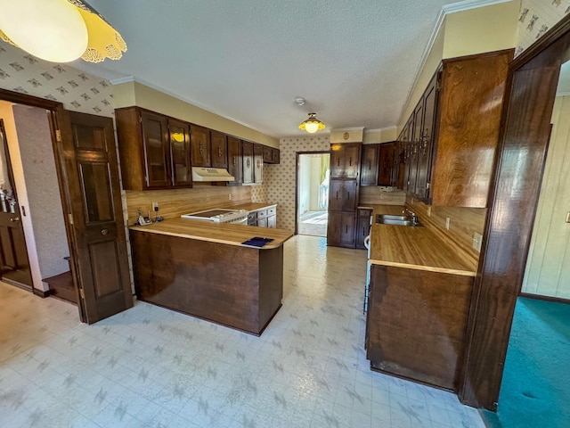 kitchen featuring dark brown cabinetry, wallpapered walls, under cabinet range hood, and light floors