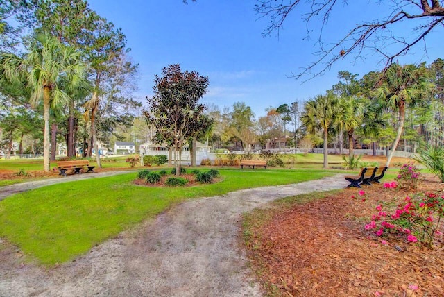 5133 Park Creek Ave, North Charleston, SC 29418 - surrounding community with a lawn