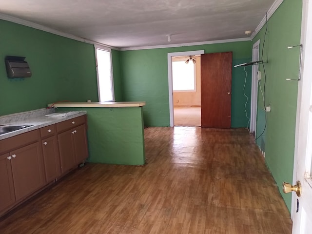 kitchen with a wealth of natural light, ornamental molding, and hardwood / wood-style flooring