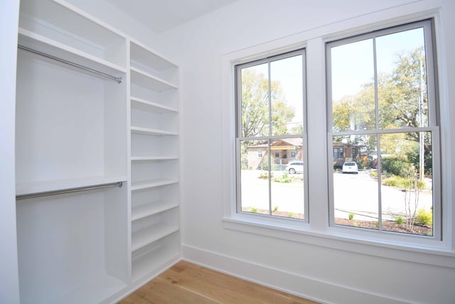 spacious closet featuring light wood-style floors