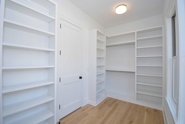 walk in closet featuring wood finished floors