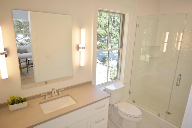 bathroom with a wealth of natural light, toilet, a stall shower, and vanity