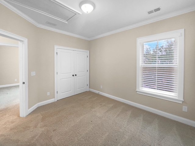 unfurnished bedroom with ornamental molding, a closet, and carpet flooring