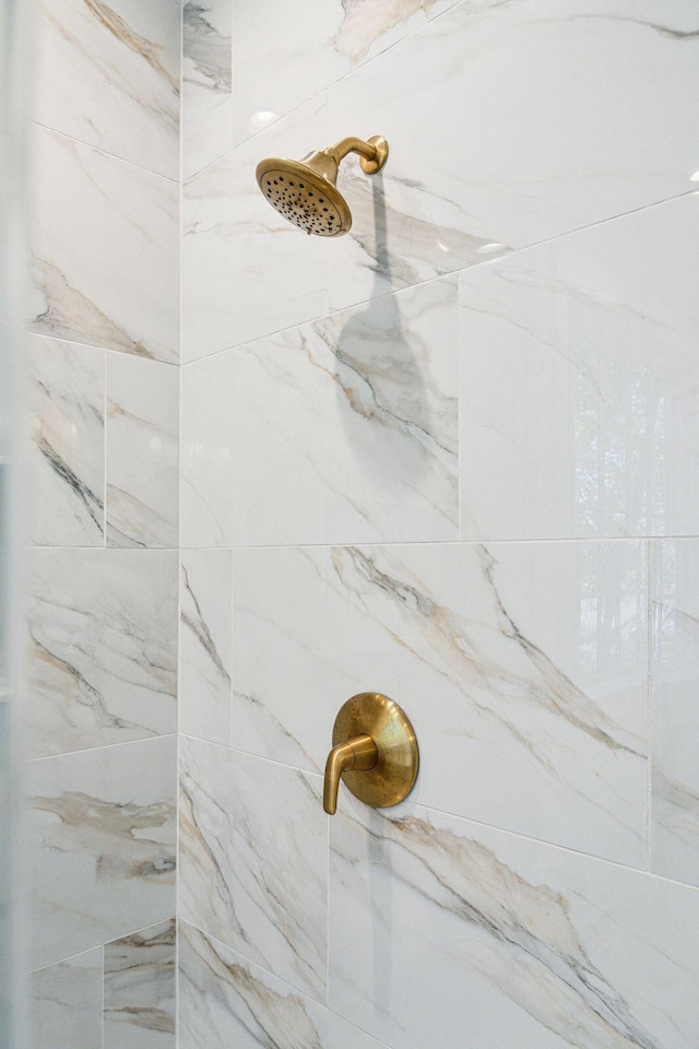380 Tidal Reef Cir, Mount Pleasant, SC 29464 - bathroom view of tiled shower