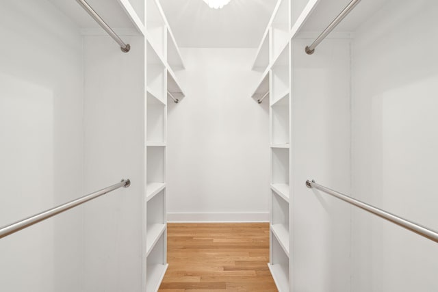 380 Tidal Reef Cir, Mount Pleasant, SC 29464 - walk in closet with light wood-type flooring