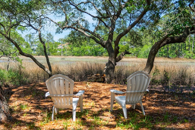 380 Tidal Reef Cir, Mount Pleasant, SC 29464 - view of yard