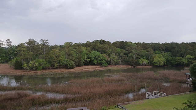 112 Berkshire Dr, Wando, SC 29492 - water view with a view of trees