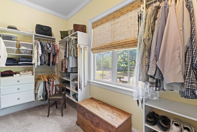 112 Berkshire Dr, Wando, SC 29492 - spacious closet featuring carpet floors