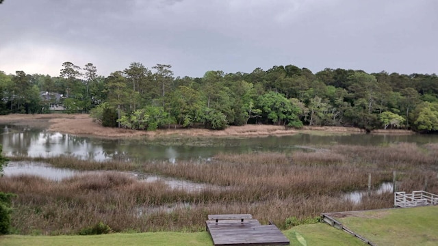 112 Berkshire Dr, Wando, SC 29492 - exterior space